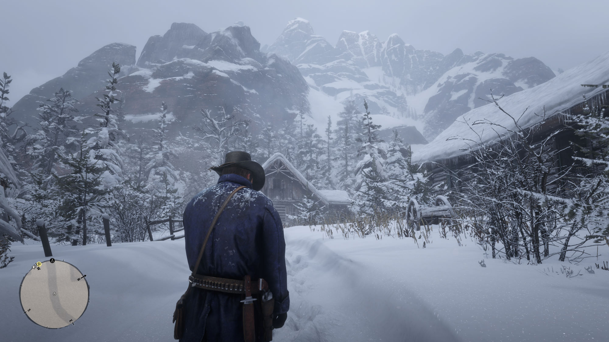 ms-rdr2